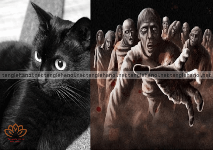 Điều gì sảy ra khi mèo đực nhảy qua quan tài trong lúc tang lễ