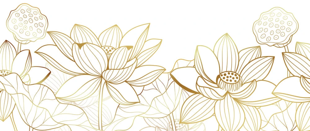 background lotus tang le ha noi